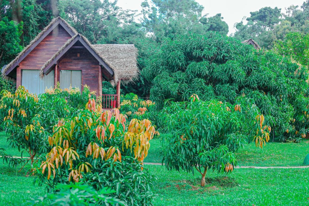 Sigiriya Water Cottage ภายนอก รูปภาพ