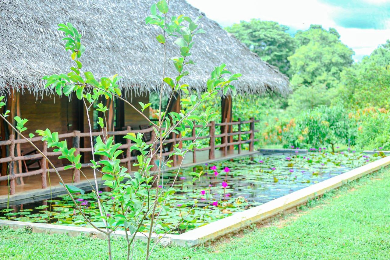 Sigiriya Water Cottage ภายนอก รูปภาพ